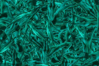 Brandon Lacow MFA-64