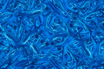 Brandon Lacow MFA-66