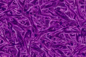 Brandon Lacow MFA-68