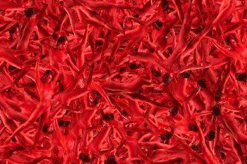 Brandon Lacow MFA-71